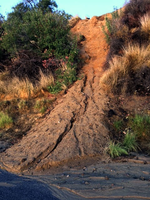 The City of Los Angeles continues to allow thousands of hiker/visitors ...