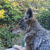 Rodgerton observer week of March 7 2021 courtesy of George Clark